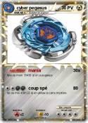 cyber pegasus