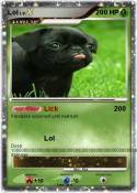 Lol