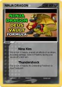NINJA DRAGON