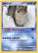 gato:)
