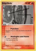 Golgi Body