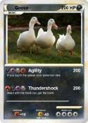 Goose