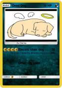 Dead Dog