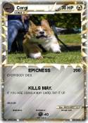 Corgi