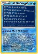 ML 45 FB Cubige