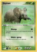 Elephant