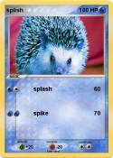 splish