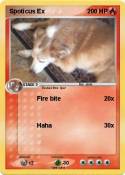 Spoticus Ex