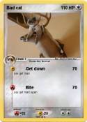 Bad cat