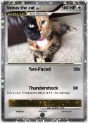 Venus the cat