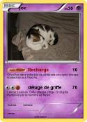 jec
