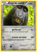 Singe de metal