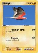 Eletropic