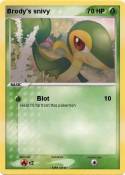 Brody's snivy