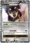the chien