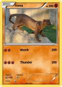 fossa