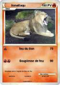 lionattaqu