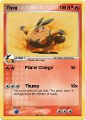 Tepig