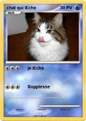 chat qui l£che