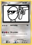 Potato