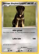 German Shepherd