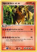 tigre de feu x