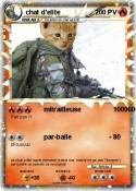 chat d'elite
