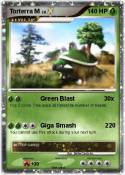 Torterra M
