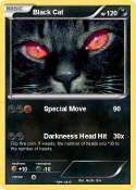 Black Cat