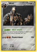 Slicer