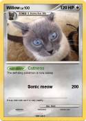 Willow