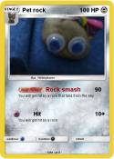 Pet rock