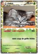 chaton
