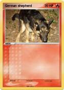 German shepherd