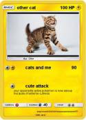 other cat