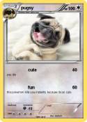 pugsy