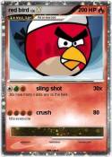 red bird