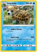 Dog turtle
