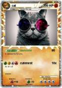 cat