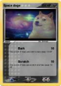 Space doge