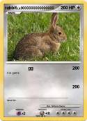 rabbit