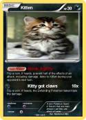 Kitten