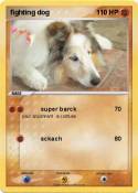 fighting dog