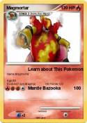 Magmortar