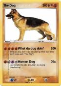 The Dog