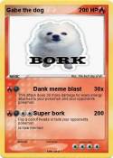 Gabe the dog