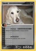 bandit 10000000