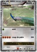 coq