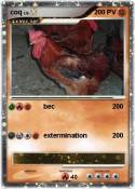 coq