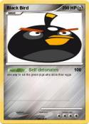 Black Bird